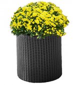 На фото Кашпо для цветов Keter Cylinder Planter Medium серое (7290103668211)
